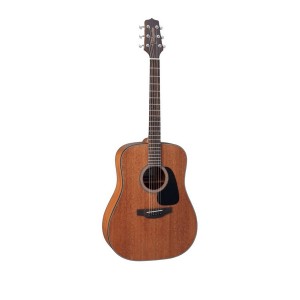 Takamine GD11M NS